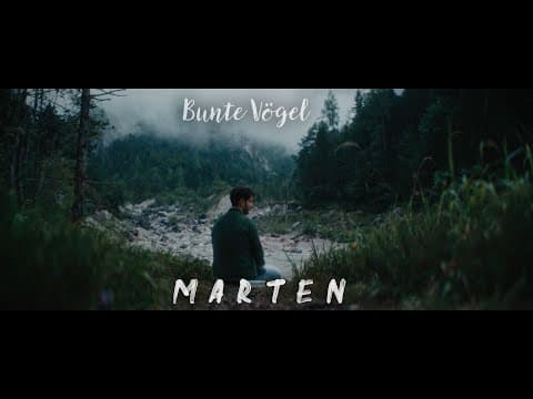 Bunte Vögel Video Thumbnail